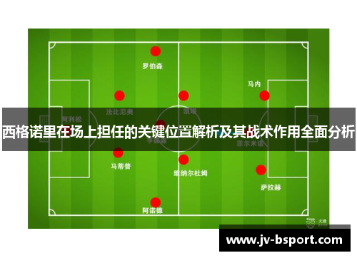西格诺里在场上担任的关键位置解析及其战术作用全面分析