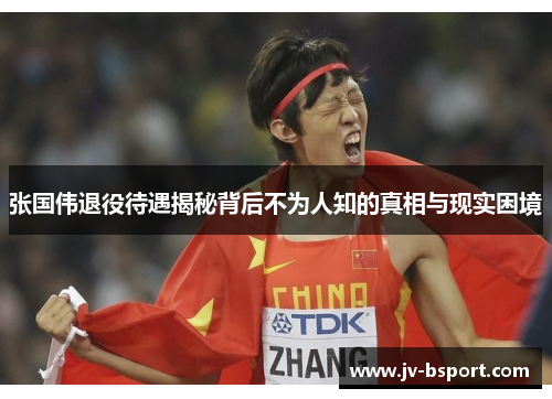 张国伟退役待遇揭秘背后不为人知的真相与现实困境