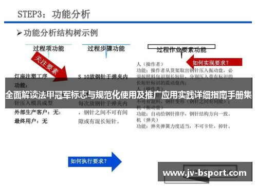 全面解读法甲冠军标志与规范化使用及推广应用实践详细指南手册集