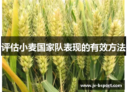 评估小麦国家队表现的有效方法