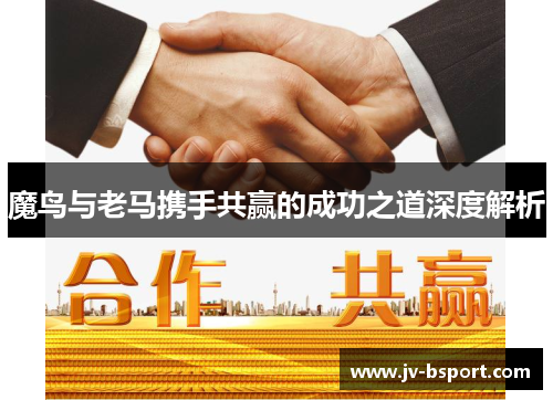 魔鸟与老马携手共赢的成功之道深度解析