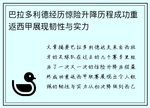 巴拉多利德经历惊险升降历程成功重返西甲展现韧性与实力
